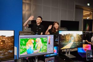ASUS PROart displays